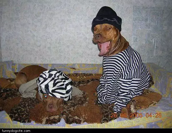 Criminals