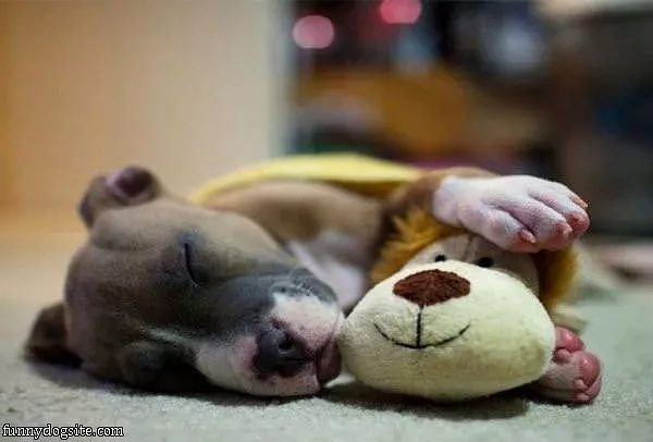 So Sleepy Today