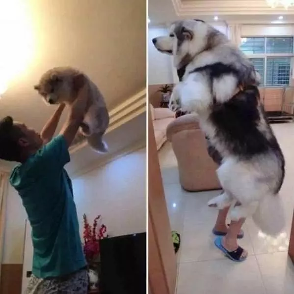 They Grow Up So Fast