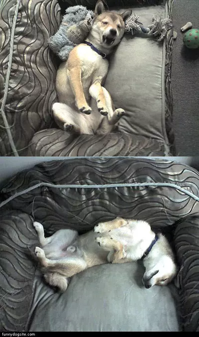 His Couch