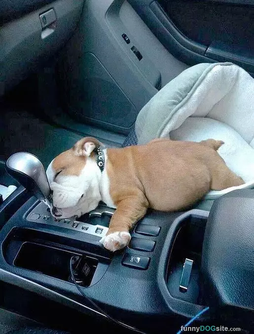 I Am So Sleepy