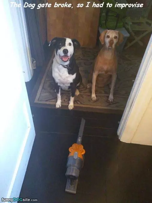 Broke The Gate