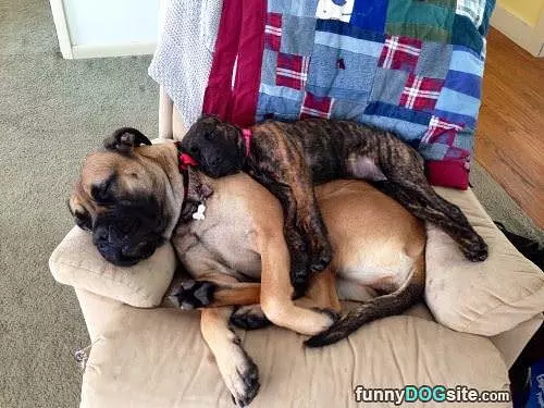 Cuddle Time