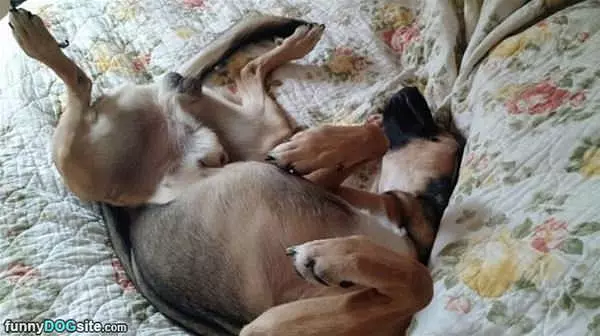 Found My Spot To Sleep