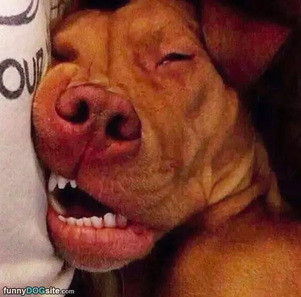 Sleeping Face