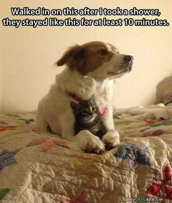 Cuddling Up Together