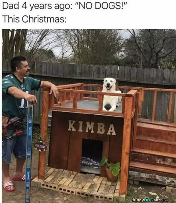No Dogs Here