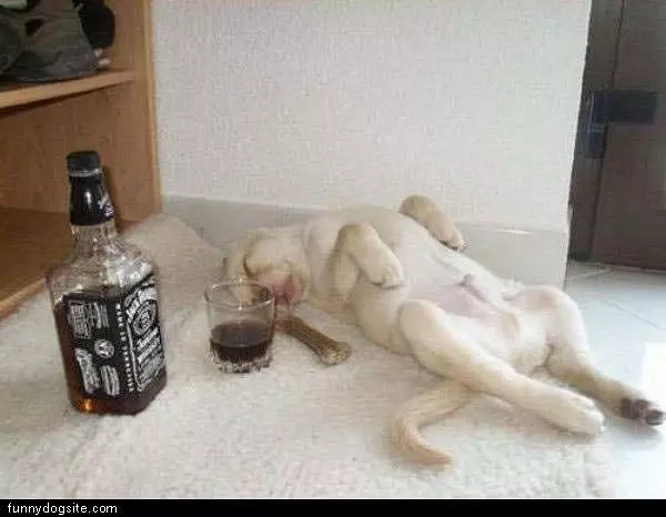 Jack Daniels