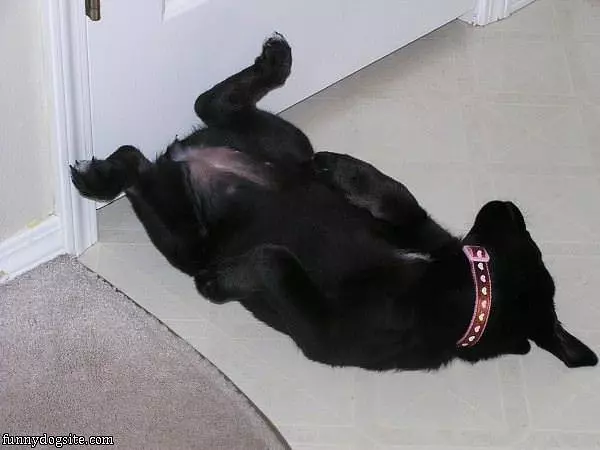 Good Place To Nap