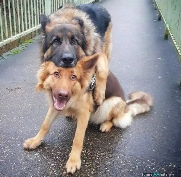 We Are Friends