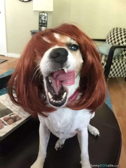 I Look Fabulous