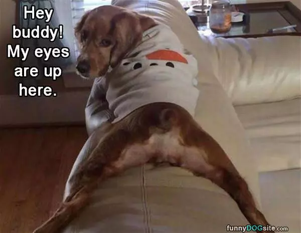 My Eyes Are Up Here