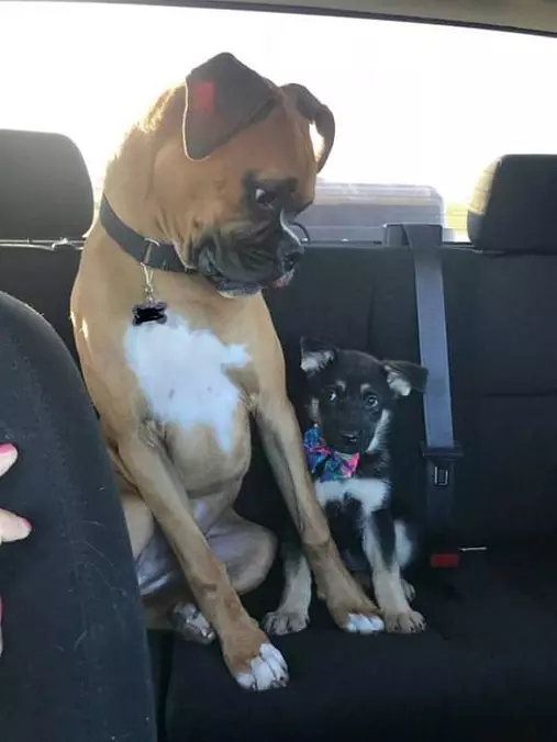 And What Did You Just Say