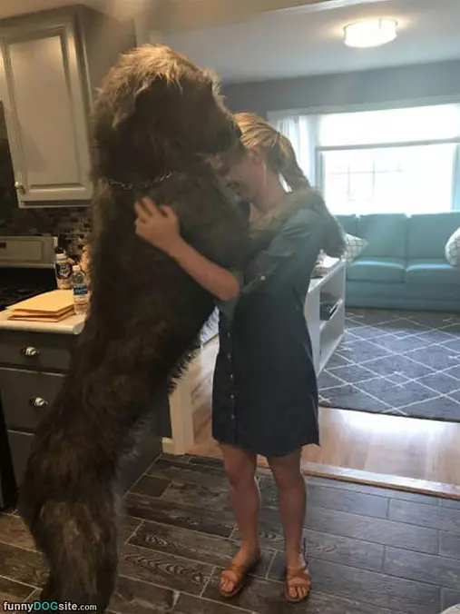 Big Doggy