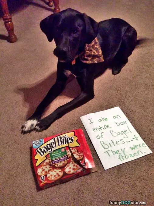 Bagel Bites