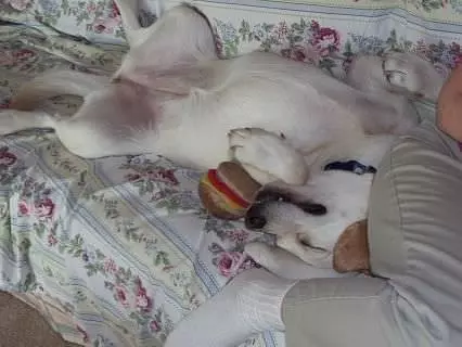 Upside Down Sleeper