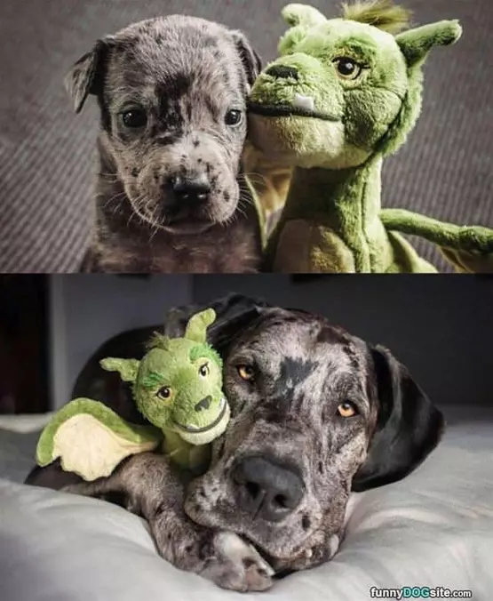 Igrew Up