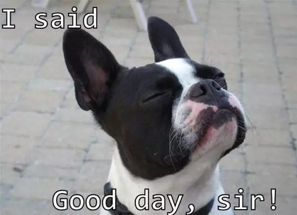 Good Day Sir