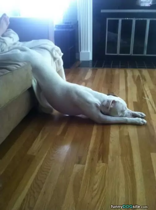 I Sleep How I Want Ok