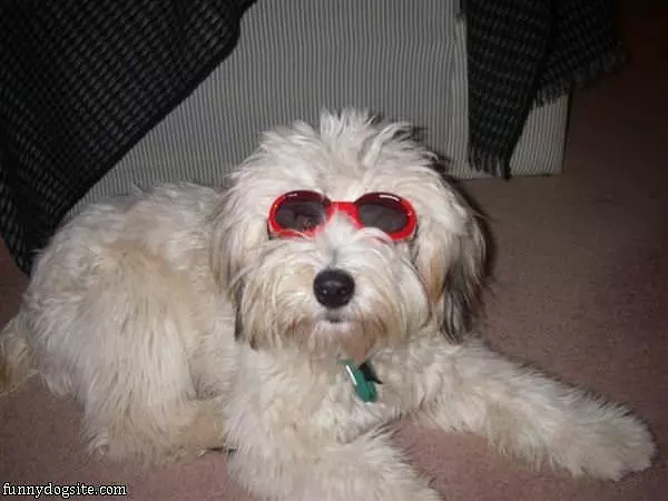 Some Cool Glasses