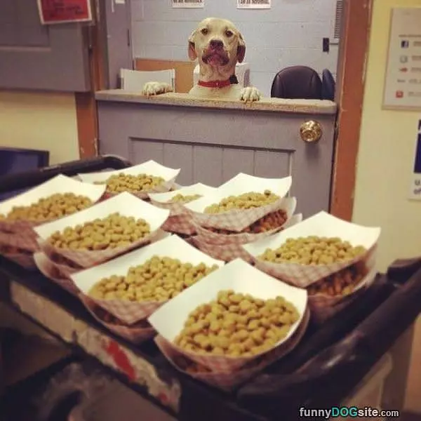 I Would Enjoy Those I Think