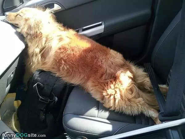 Perfect Nap Position