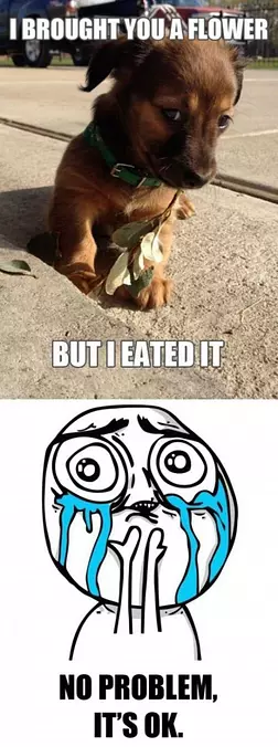 Brought You A Flower
