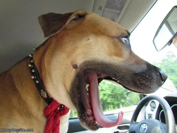 Time For A Ride