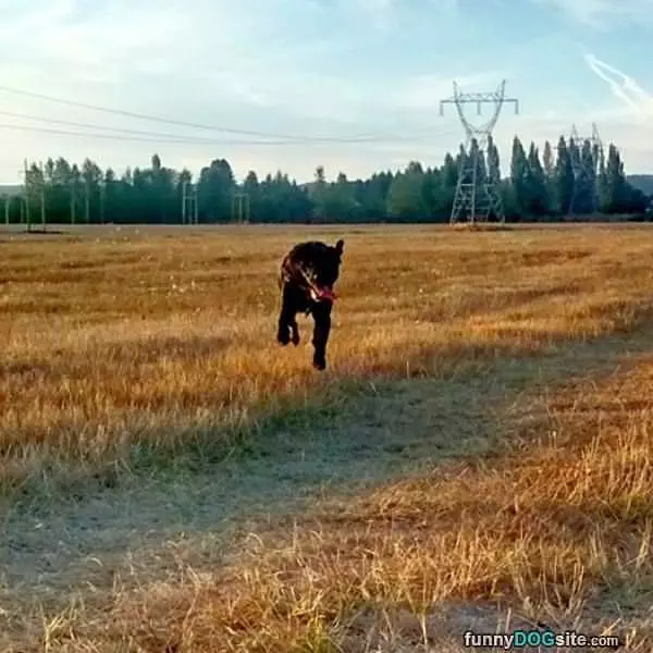 Flying Lab