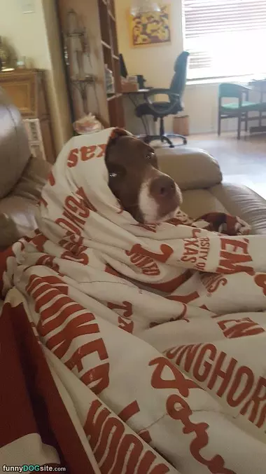 Hanging Out Under The Blanket