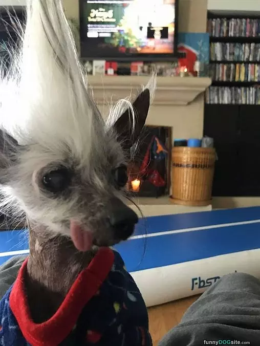 Nice Hair