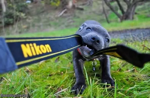 Tug Of War