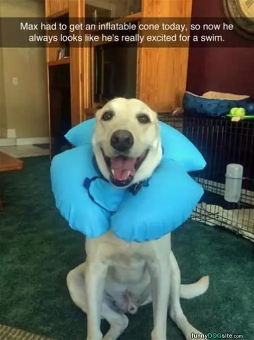 Ready For A Swim