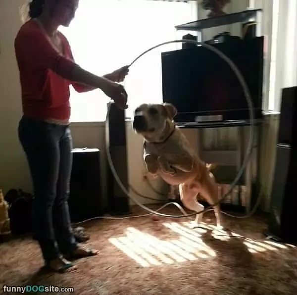 Fun Tricks