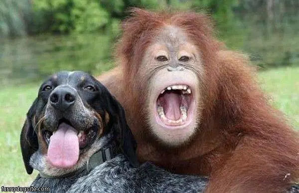 Friends