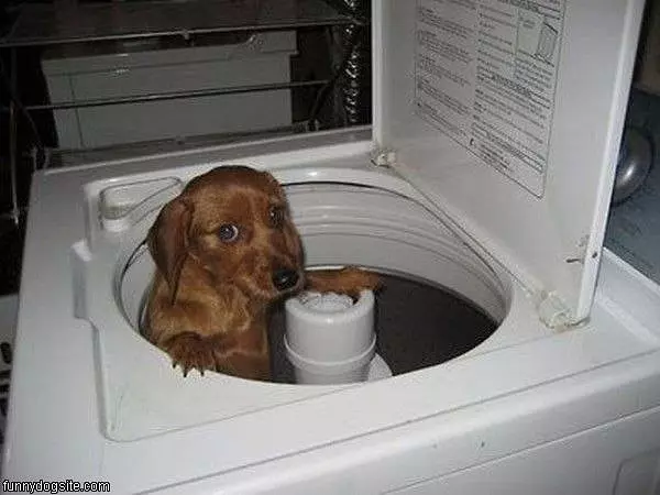 I Dont Want Wash