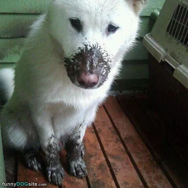 Muddy Outside