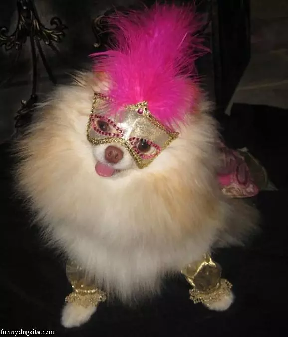 Nice Mask