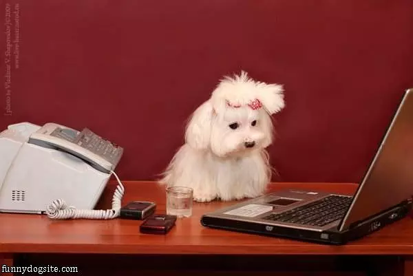 Waiting For A Message