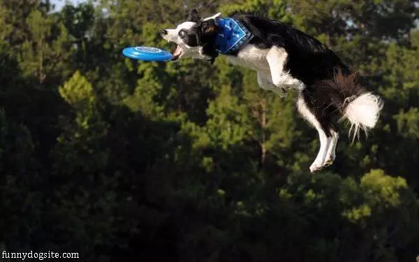 Epic Fetch
