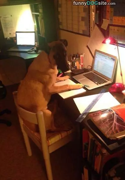 Checking My Email