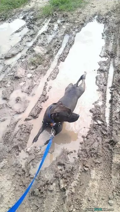 The Mud Feels So Good