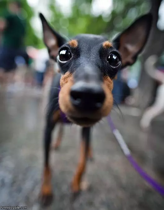 Super Closeup