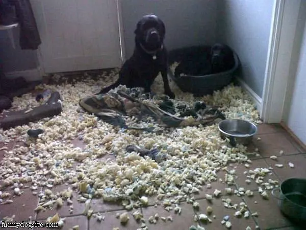 It Wasnt Me