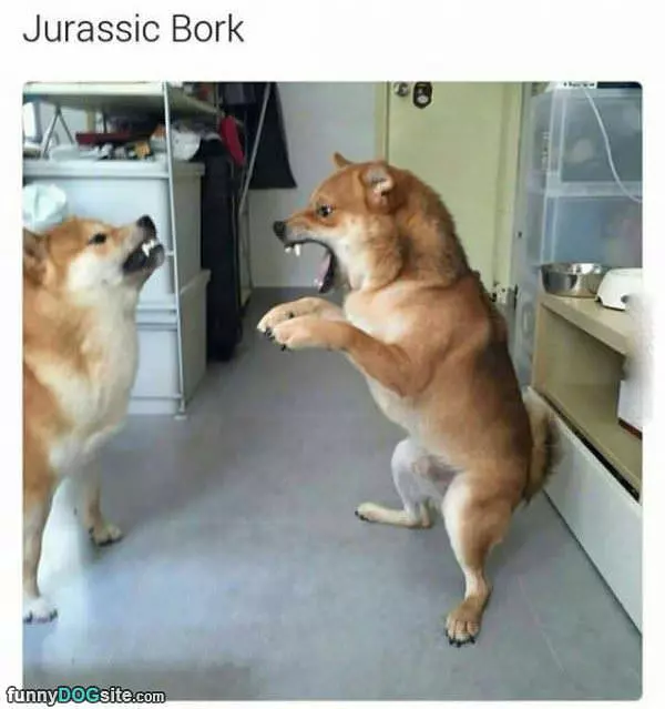 Bork