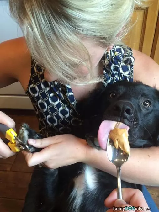 How To Get Nails Clipped