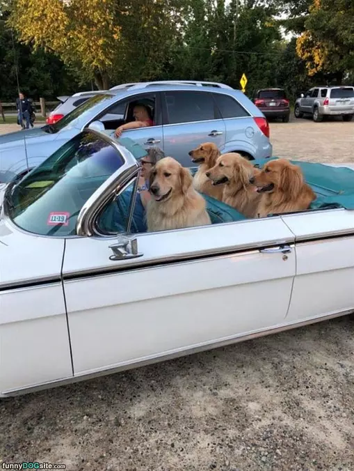 Out For A Ride