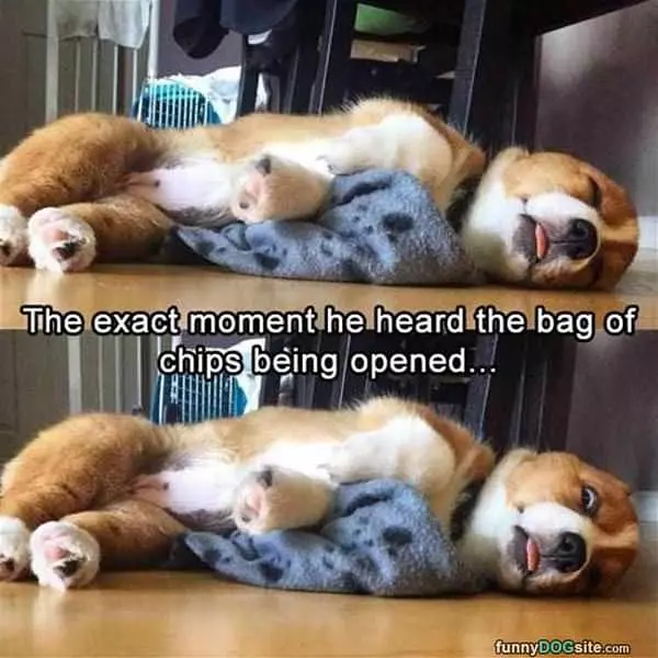 Heard The Chips Opening