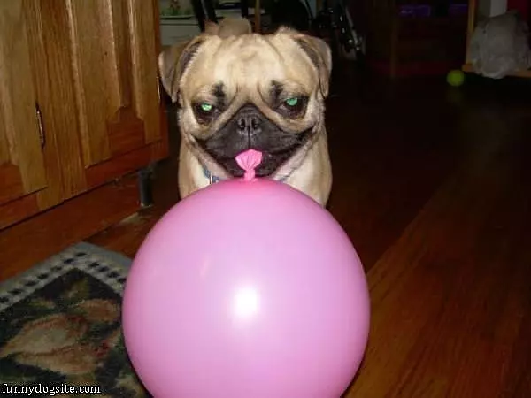 I Loves This Balloon