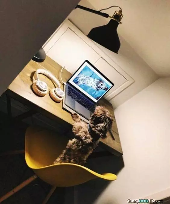 On The Internets